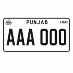 Punjab Number Plate